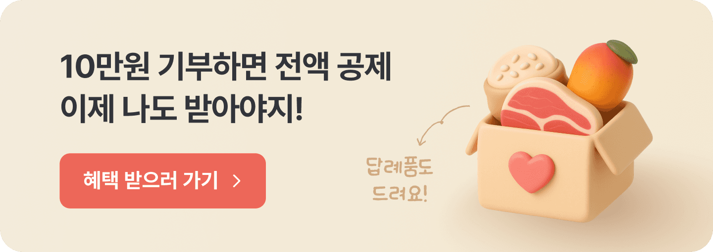 정책
